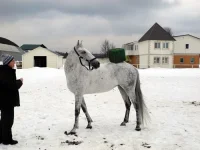 DSCN3217.webp