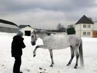 DSCN3218.webp