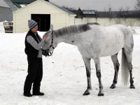DSCN3208.webp