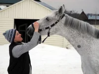 DSCN3210.webp
