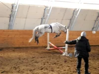 DSCN3393.webp