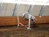 DSCN3395.webp