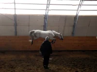 DSCN3404.webp