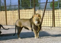 S6302681.webp