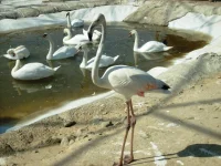 S6302657.webp