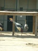 S6302661.webp