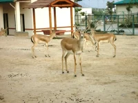 S6302689.webp