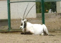 S6302744.webp