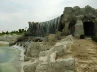 S6302716.webp