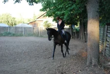 довгань 2.webp