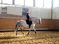 DSCN3426.webp