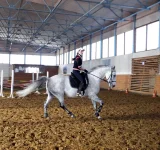 DSCN3445.webp