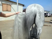 DSCN3467.webp