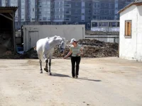 DSCN3475.webp