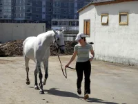 DSCN3476.webp