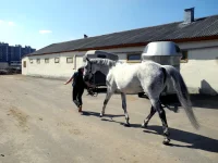 DSCN3478.webp