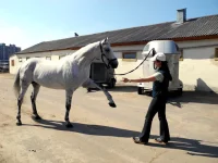 DSCN3492.webp