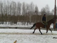 2013-04-18 17.38.13.webp