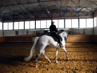 DSCN3759.webp