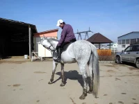 DSCN3831.webp