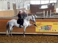 DSCN3816.webp
