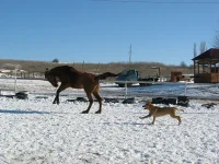 8m_y1CFRD9I.webp