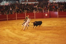 DSC_7476ab.webp
