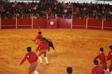 DSC_7599a.webp