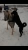 upload_2020-1-11_22-0-50.jpeg