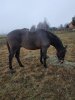 изображение_viber_2020-01-13_13-48-39.jpg