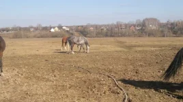 ApQW_6JGubw (1).webp