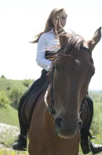 _DSC0395.webp
