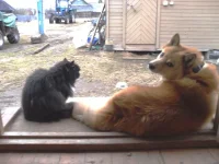 SAM_3824.webp