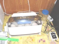 SAM_3826.webp