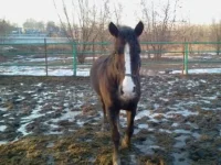 2013-04-15 19.35.33.webp