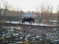 2013-04-15 19.35.23.webp