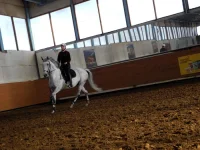 DSCN4081.webp