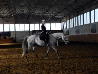 DSCN4163.webp