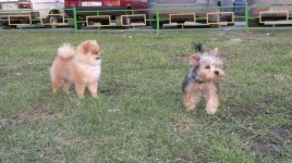 b2jpO25XHRY.webp