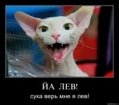 1280823588_mhj.webp