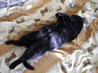 DSCN4231_m.webp