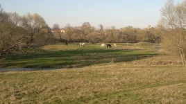 7EoCIFGtIgE.webp