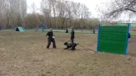 O3Qw-DYOVYA[1].webp