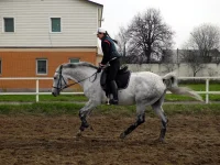 DSCN4266.webp
