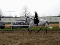 DSCN4278.webp
