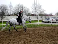 DSCN4300.webp