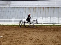 DSCN4319.webp