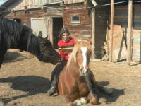 SAM_4129.webp