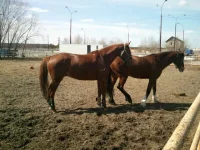 2013-05-06_12.23.12.webp
