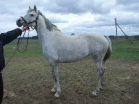 DSCF7312.webp